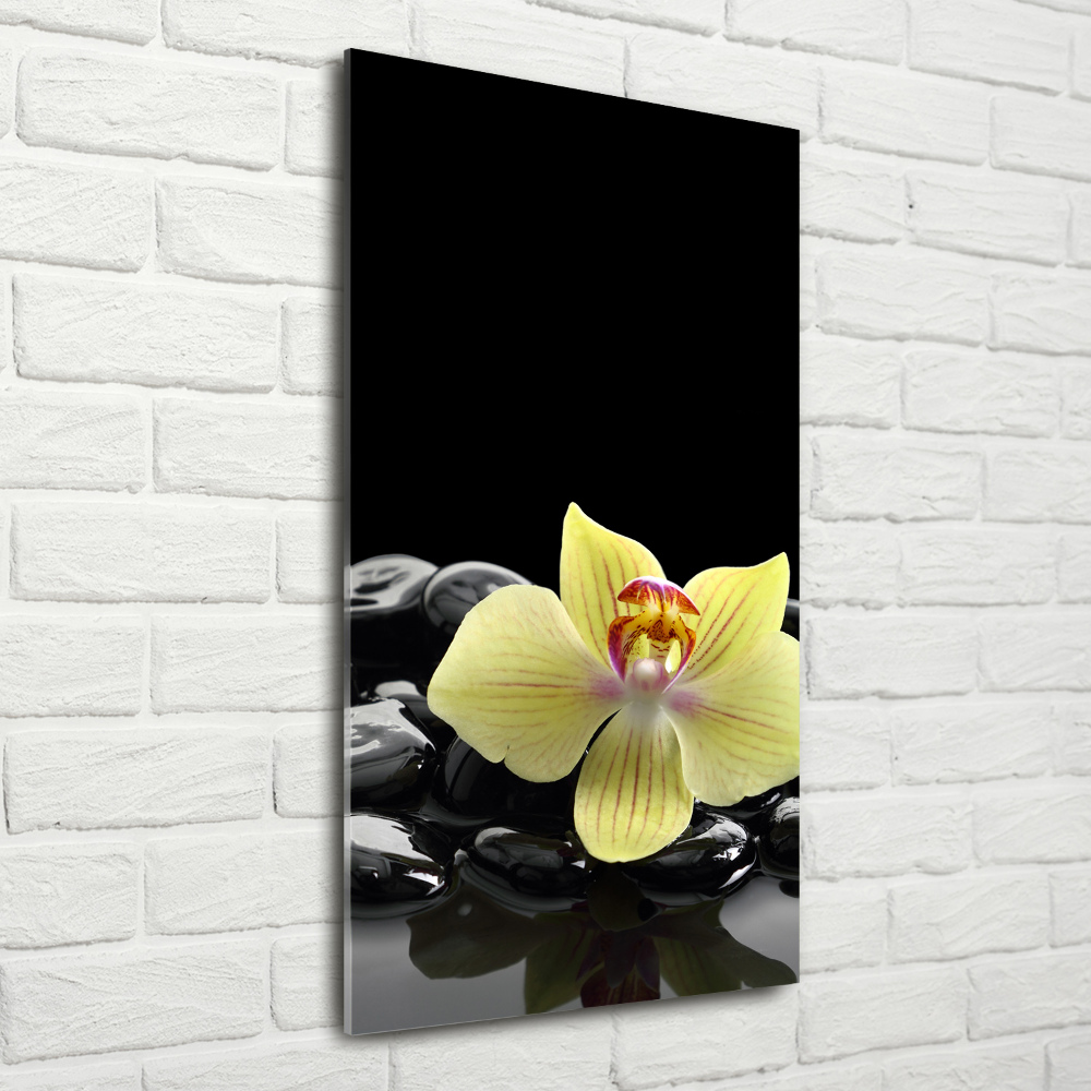 Print on acrylic glass Orchid and stones