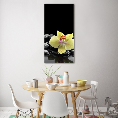 Print on acrylic glass Orchid and stones