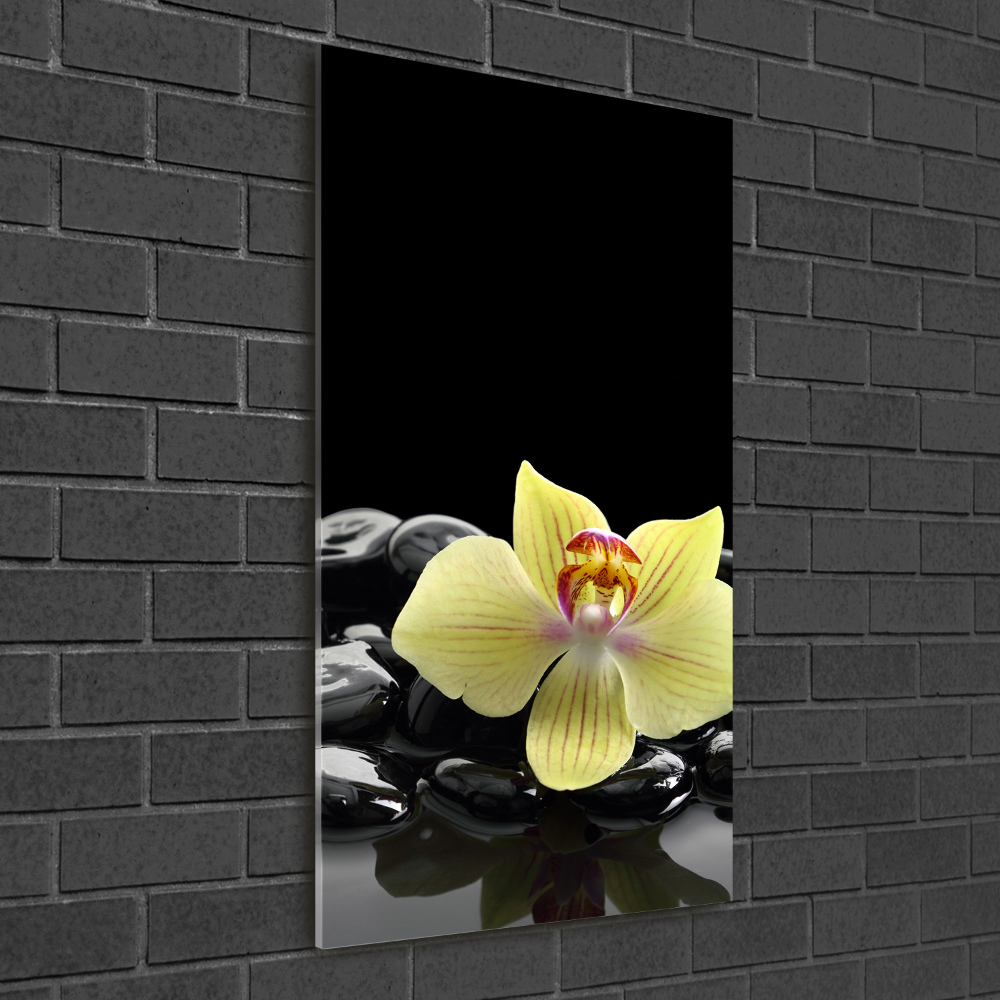 Print on acrylic glass Orchid and stones