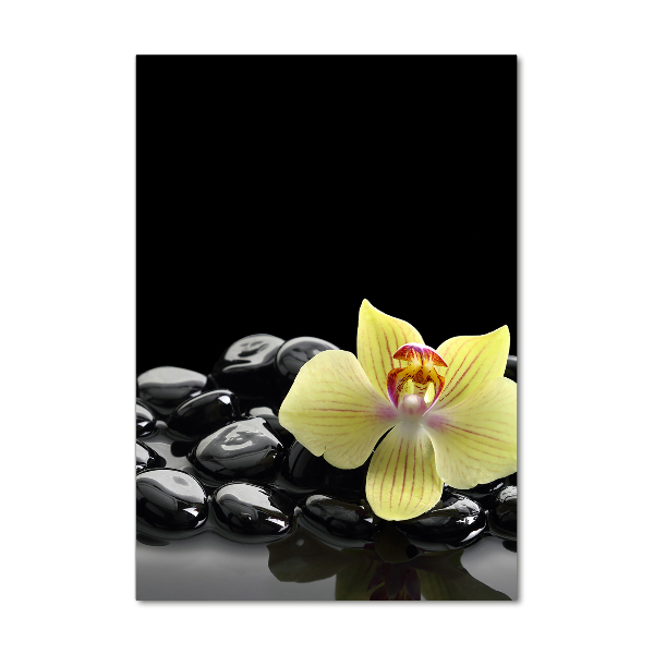 Print on acrylic glass Orchid and stones