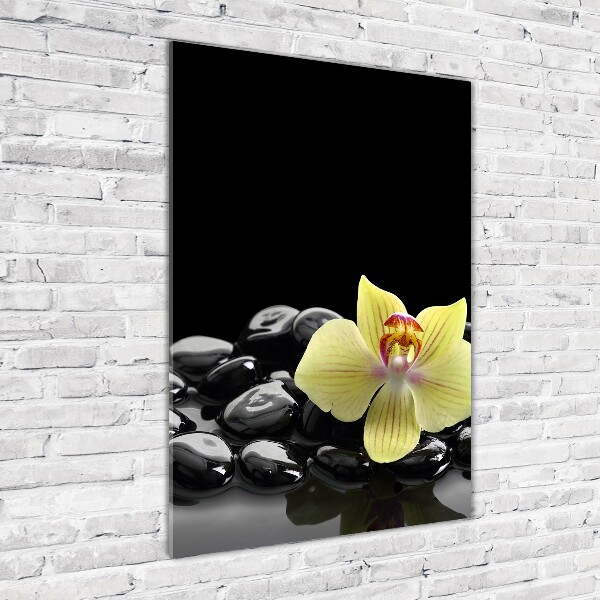 Print on acrylic glass Orchid and stones