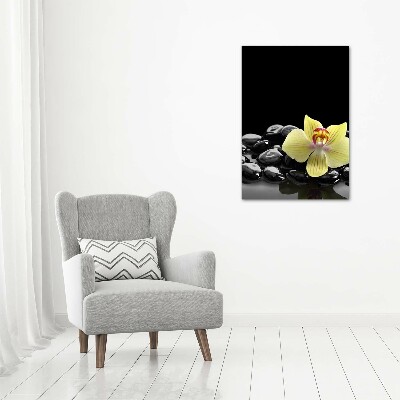 Print on acrylic glass Orchid and stones