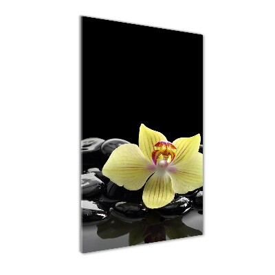 Print on acrylic glass Orchid and stones