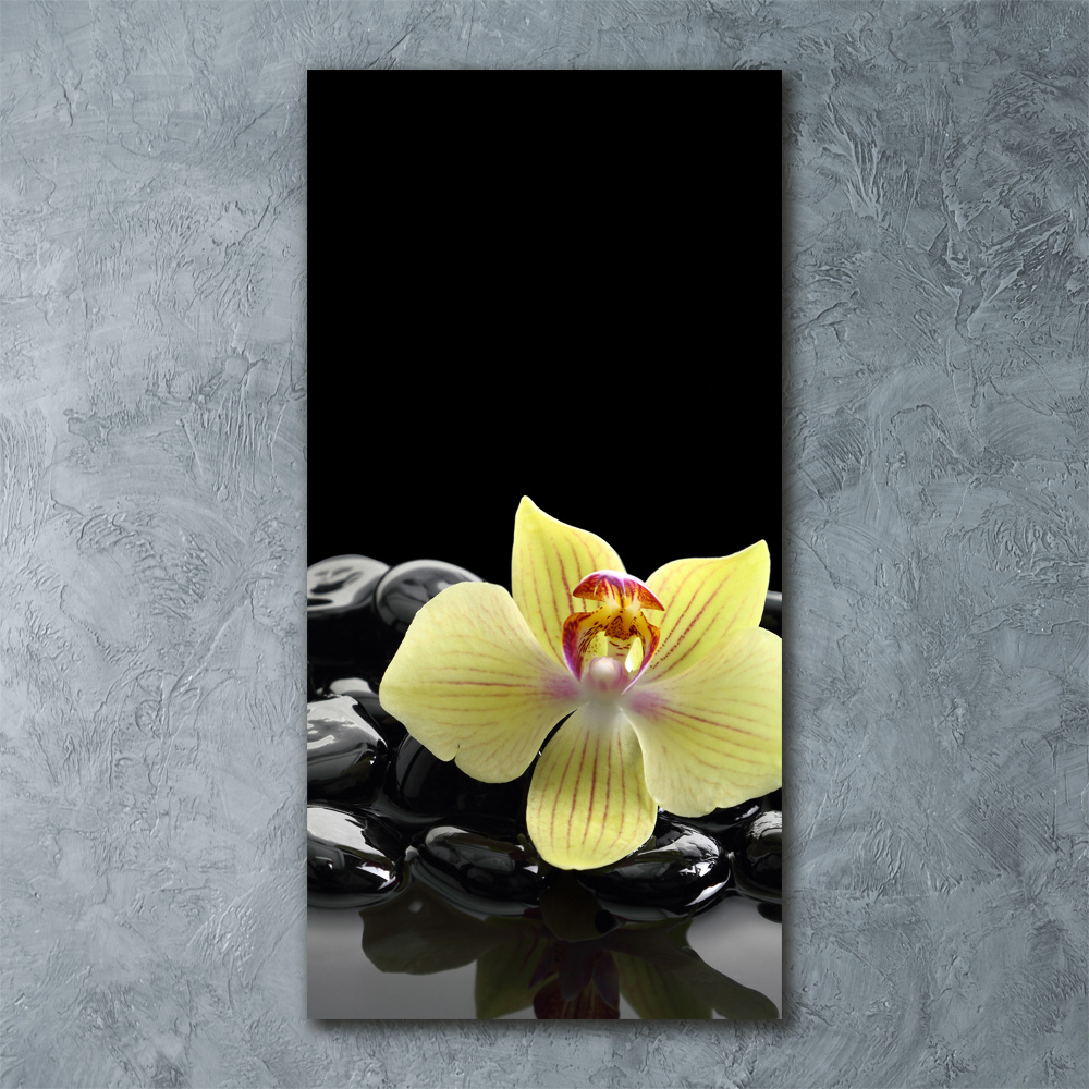 Print on acrylic glass Orchid and stones