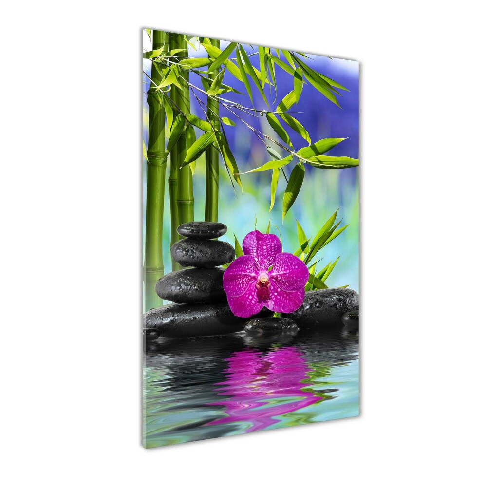 Acrylic print Orchid and bamboo