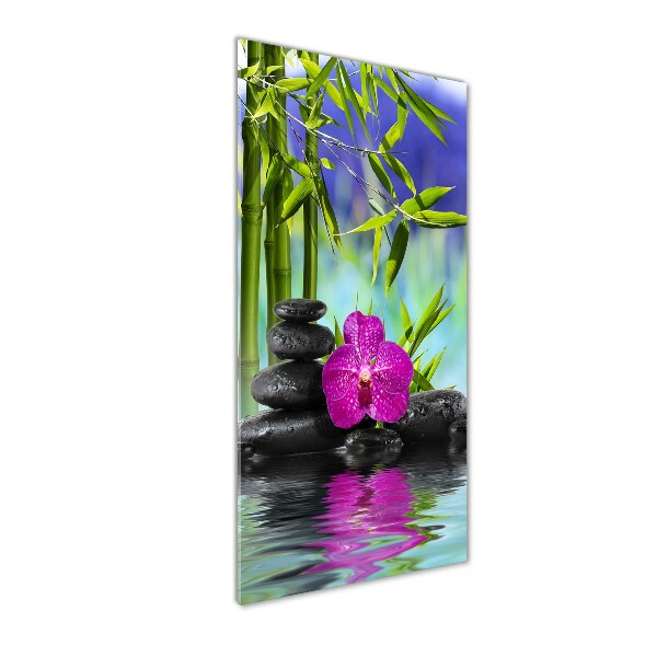 Acrylic print Orchid and bamboo