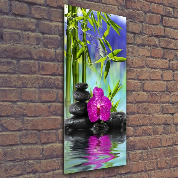 Acrylic print Orchid and bamboo