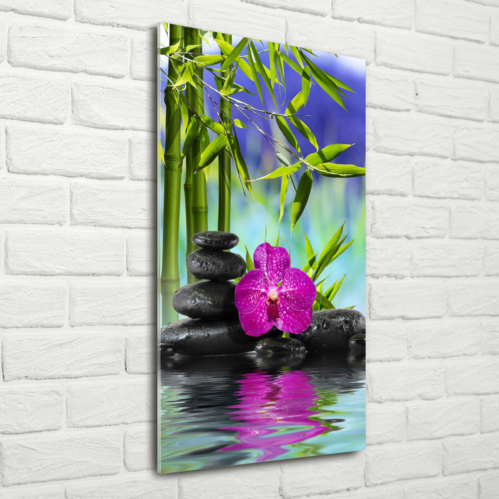 Acrylic print Orchid and bamboo