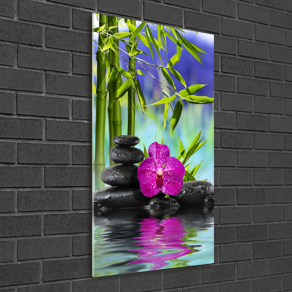 Acrylic print Orchid and bamboo