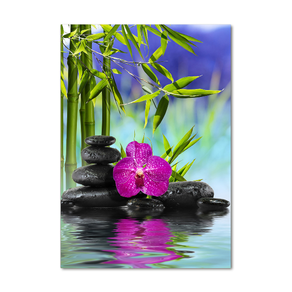 Acrylic print Orchid and bamboo