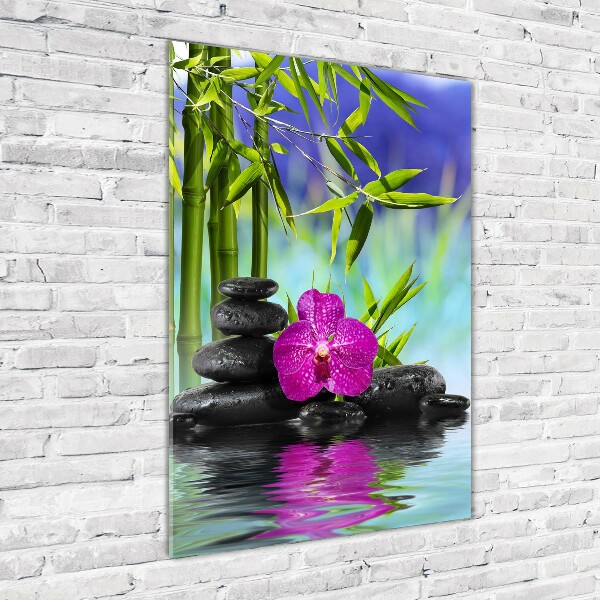 Acrylic print Orchid and bamboo