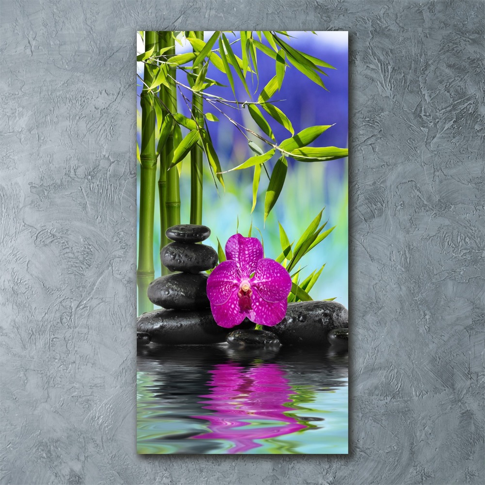 Acrylic print Orchid and bamboo