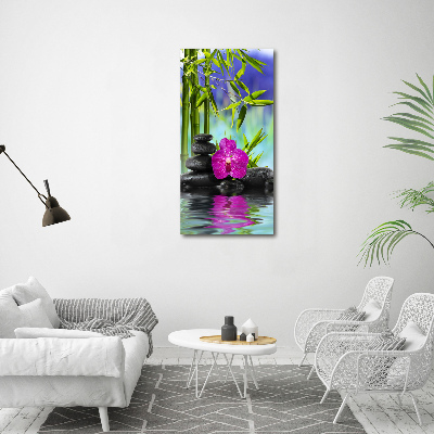 Acrylic print Orchid and bamboo