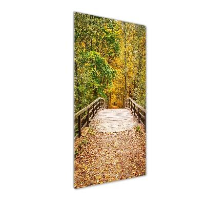 Acrylic glass print Forest in autumn