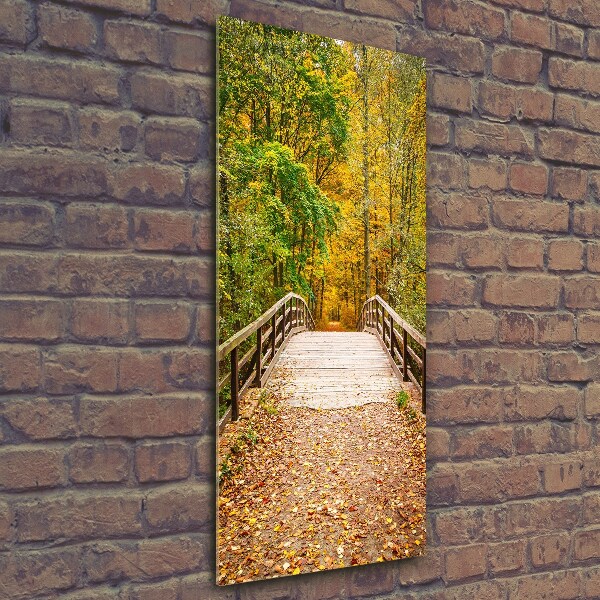 Acrylic glass print Forest in autumn