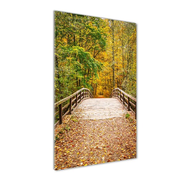 Acrylic glass print Forest in autumn