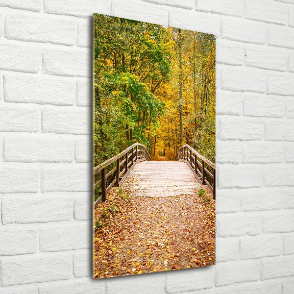 Acrylic glass print Forest in autumn