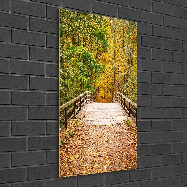 Acrylic glass print Forest in autumn