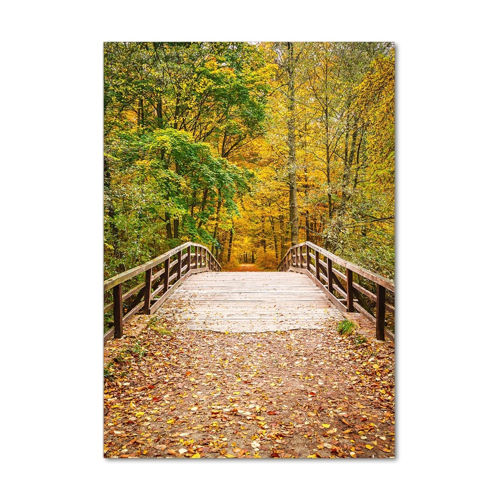 Acrylic glass print Forest in autumn