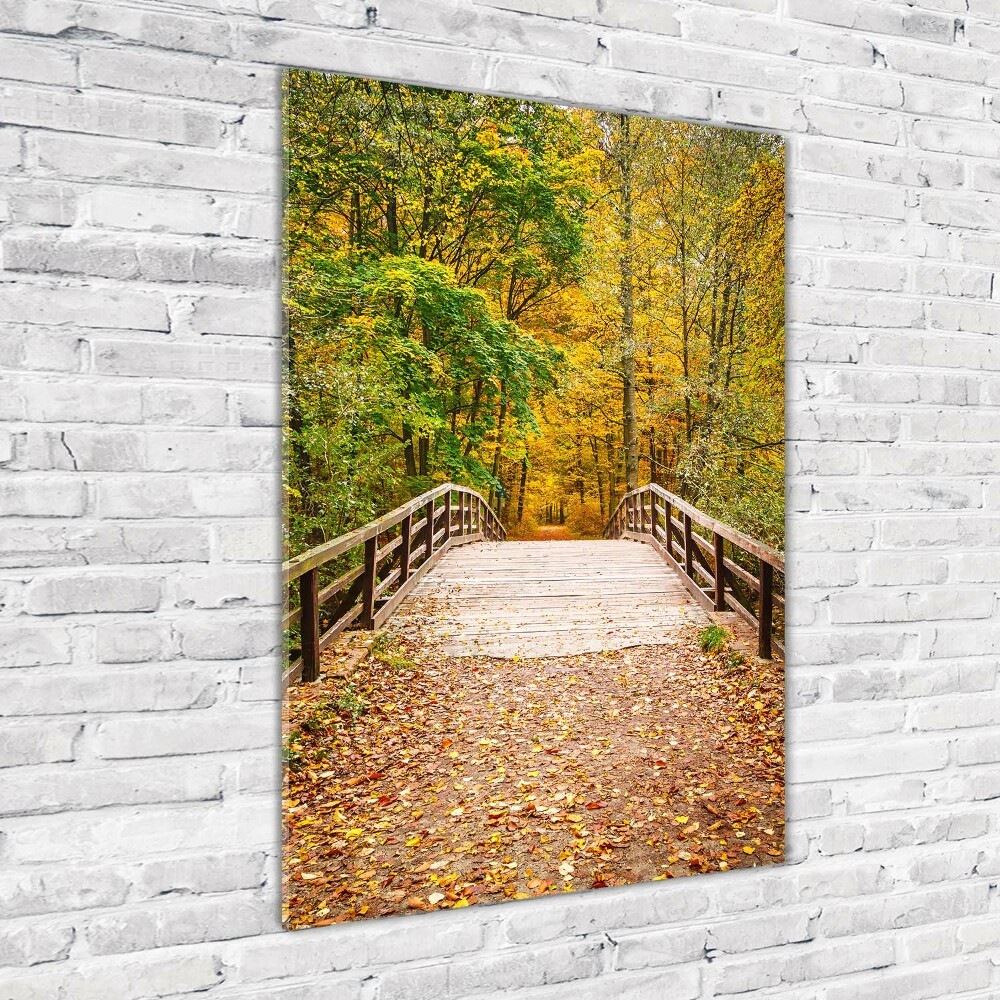 Acrylic glass print Forest in autumn