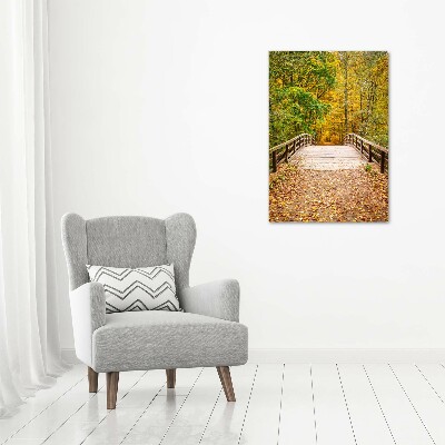 Acrylic glass print Forest in autumn