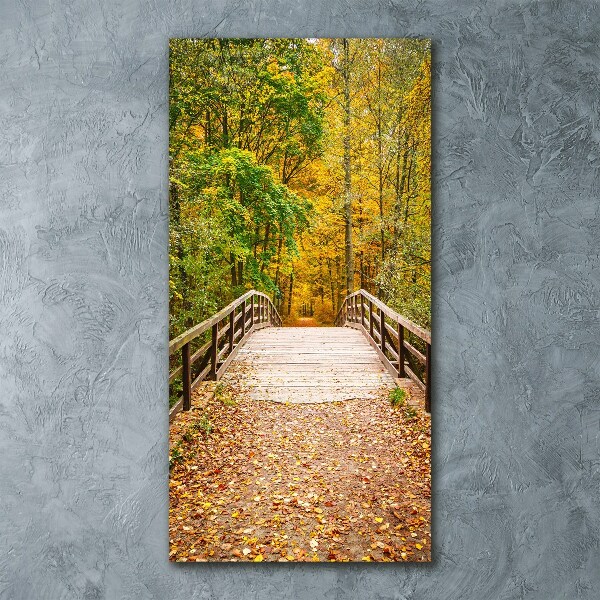 Acrylic glass print Forest in autumn