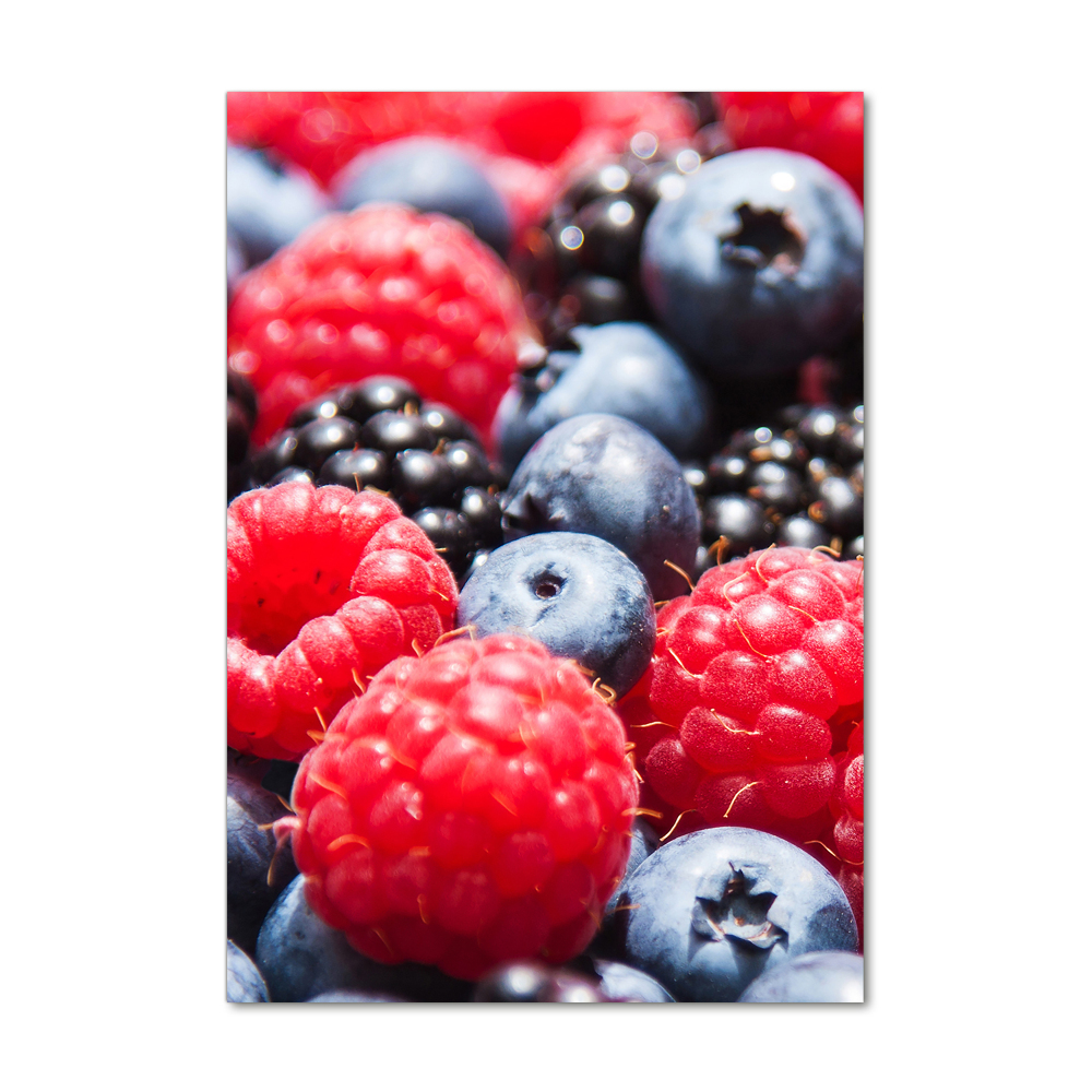 Wall art acrylic Forest fruits