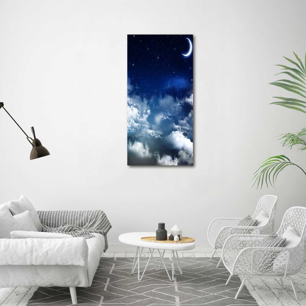 Acrylic print Starry sky