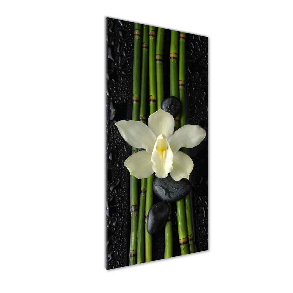 Print on acrylic glass Orchid and bamboo