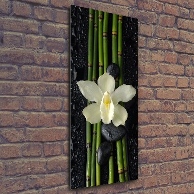 Print on acrylic glass Orchid and bamboo