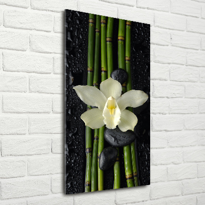 Print on acrylic glass Orchid and bamboo