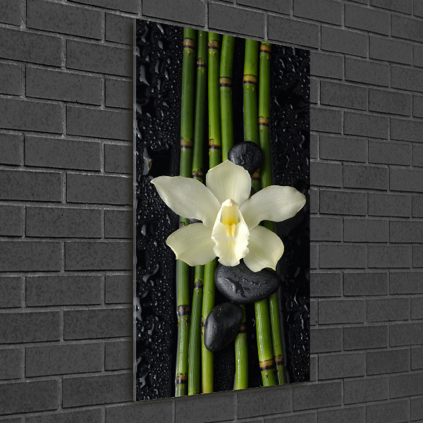 Print on acrylic glass Orchid and bamboo