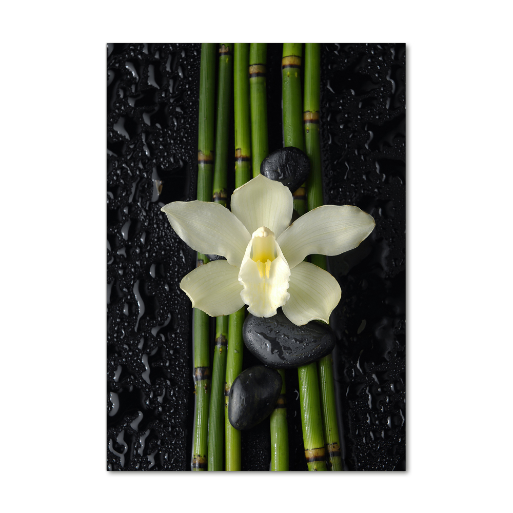 Print on acrylic glass Orchid and bamboo