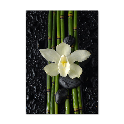 Print on acrylic glass Orchid and bamboo