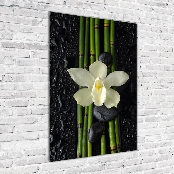 Print on acrylic glass Orchid and bamboo