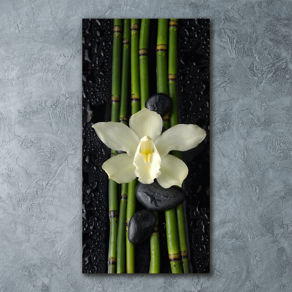 Print on acrylic glass Orchid and bamboo