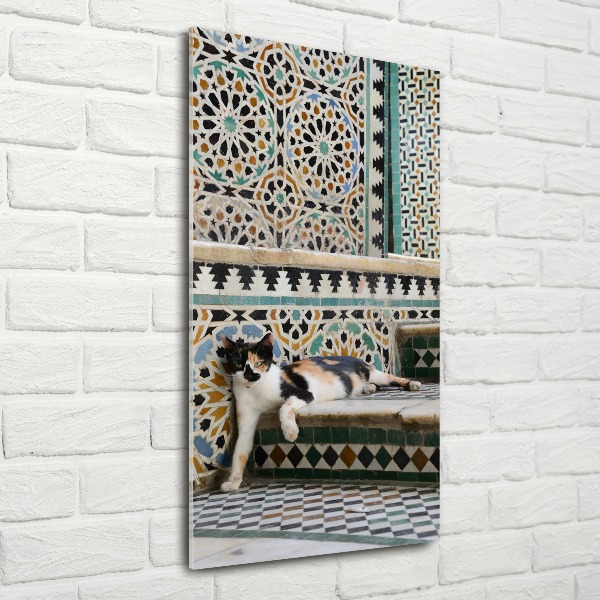 Acrylic print Cat in Morocco