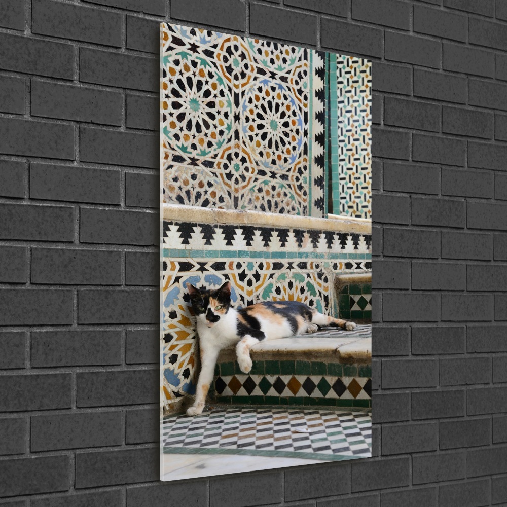 Acrylic print Cat in Morocco