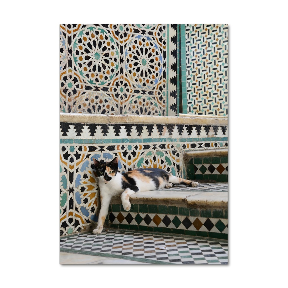 Acrylic print Cat in Morocco