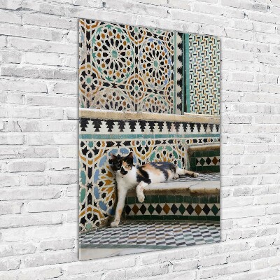 Acrylic print Cat in Morocco