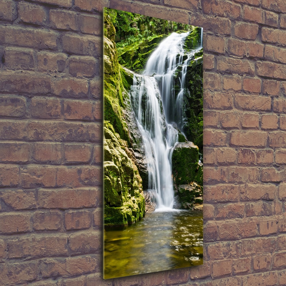 Print on acrylic Waterfall