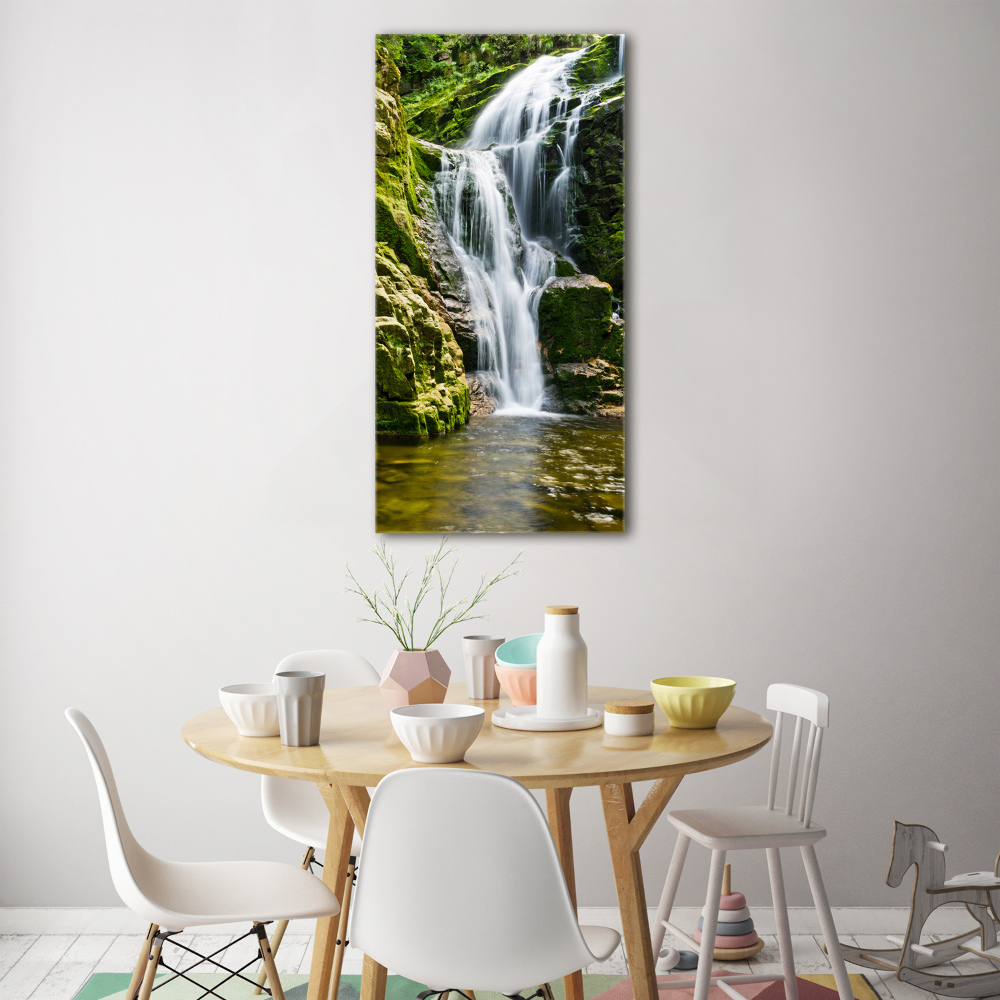 Print on acrylic Waterfall