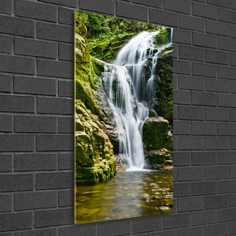 Print on acrylic Waterfall