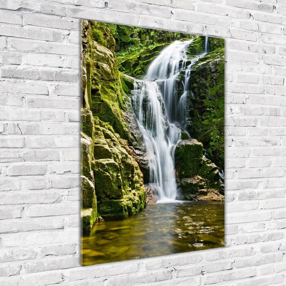 Print on acrylic Waterfall