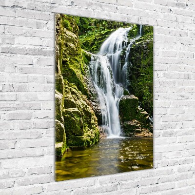 Print on acrylic Waterfall