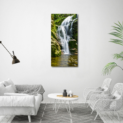 Print on acrylic Waterfall