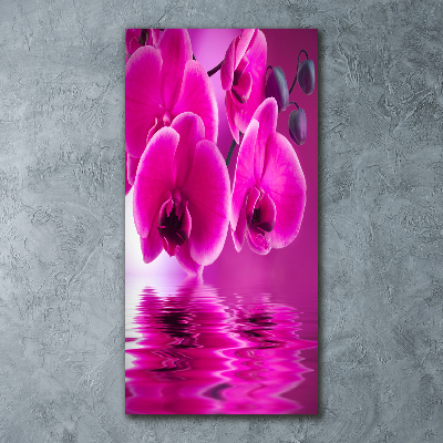 Acrylic print Pink orchid