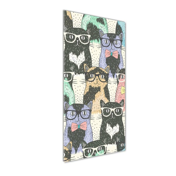 Acrylic print Cats with glasses