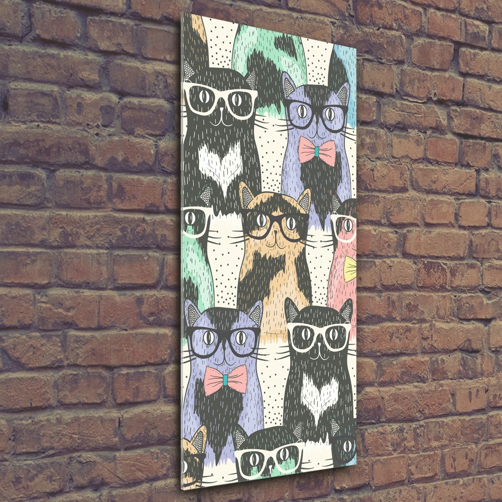 Acrylic print Cats with glasses