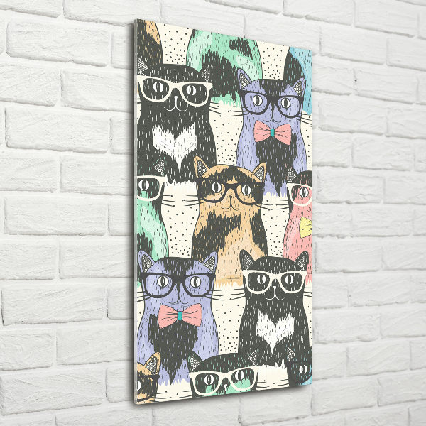 Acrylic print Cats with glasses